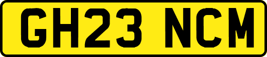 GH23NCM
