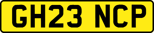 GH23NCP