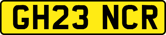 GH23NCR