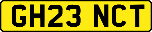 GH23NCT