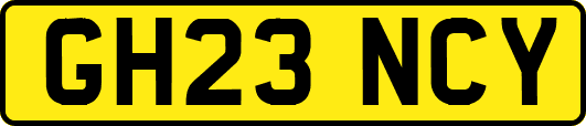 GH23NCY