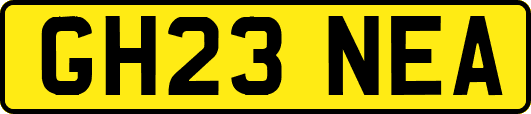 GH23NEA