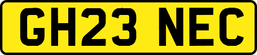 GH23NEC