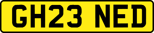 GH23NED