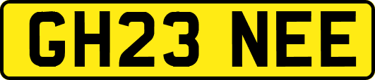 GH23NEE