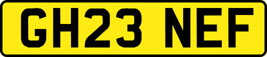 GH23NEF