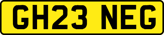 GH23NEG