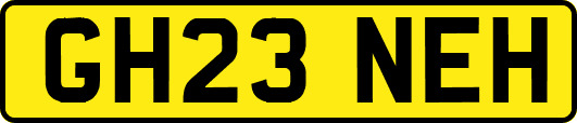 GH23NEH