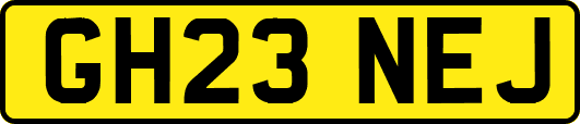 GH23NEJ