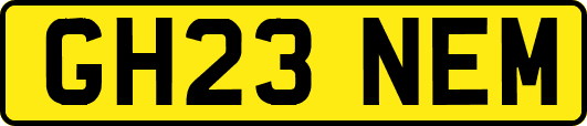 GH23NEM