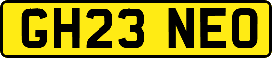 GH23NEO