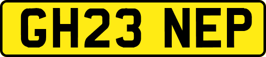 GH23NEP