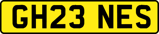 GH23NES