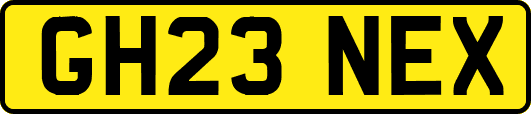 GH23NEX
