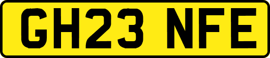 GH23NFE