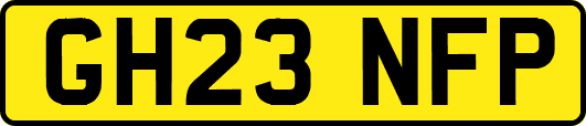 GH23NFP