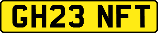 GH23NFT