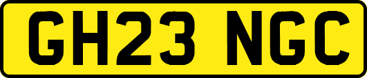 GH23NGC