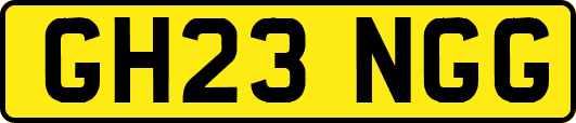 GH23NGG