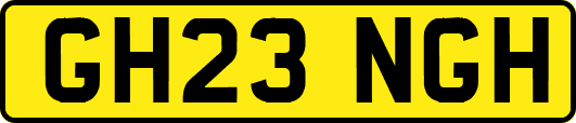 GH23NGH