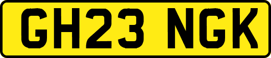 GH23NGK