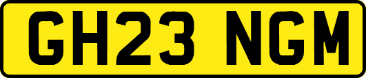 GH23NGM