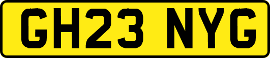 GH23NYG