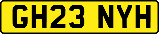 GH23NYH