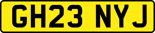 GH23NYJ
