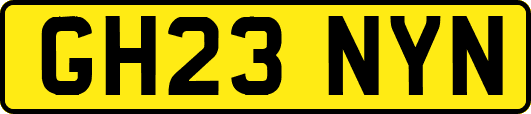 GH23NYN
