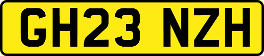 GH23NZH