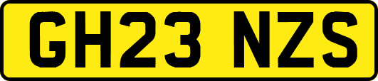 GH23NZS