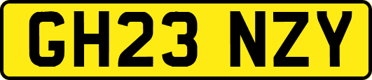 GH23NZY