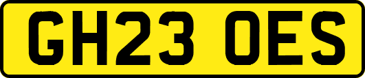 GH23OES