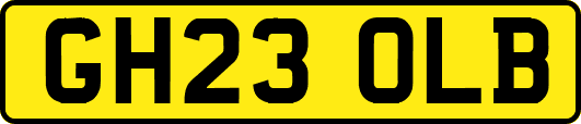 GH23OLB