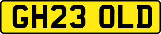 GH23OLD