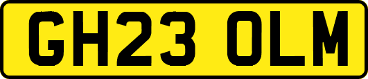GH23OLM