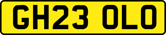 GH23OLO