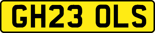 GH23OLS