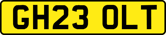 GH23OLT