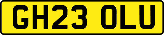 GH23OLU