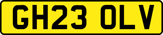 GH23OLV