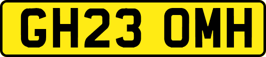 GH23OMH