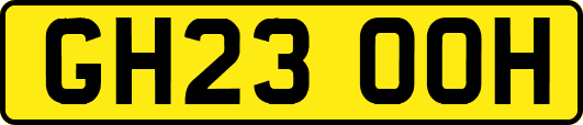 GH23OOH