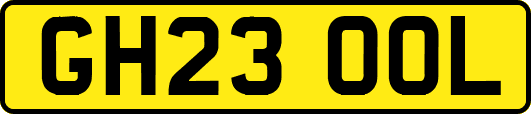 GH23OOL