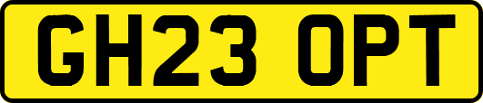 GH23OPT