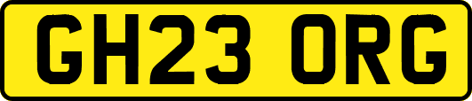 GH23ORG
