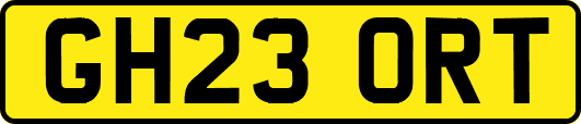 GH23ORT
