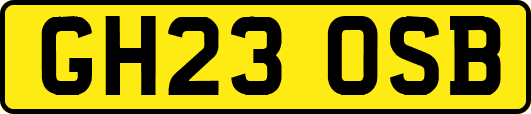 GH23OSB
