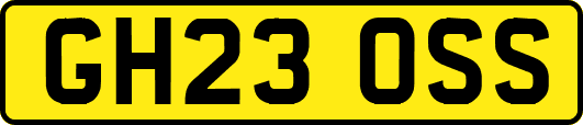 GH23OSS